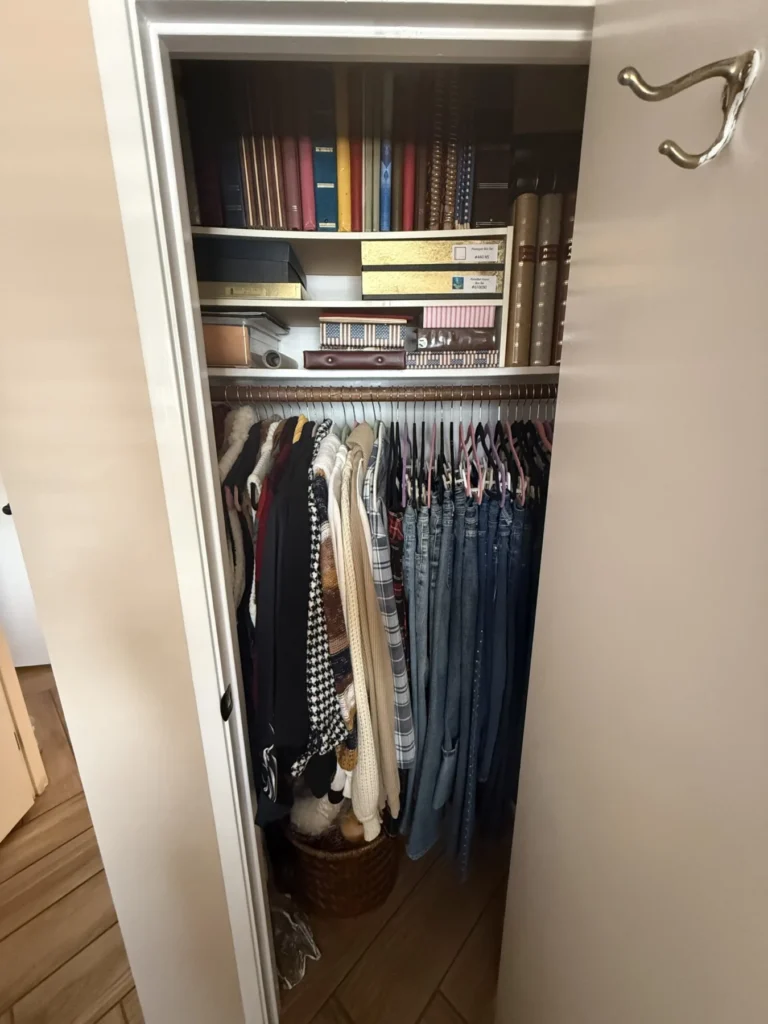 Reach-in closet with shelves of books above hanging clothes