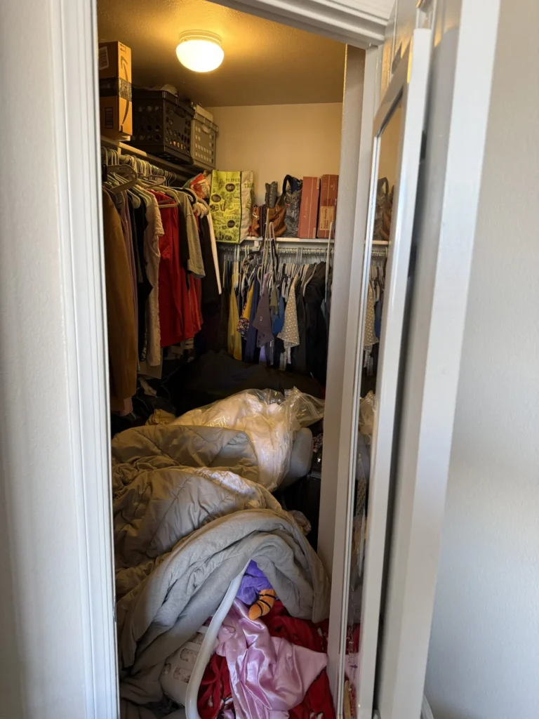 Walk-in closet before organizing, with bags piled on the floor
